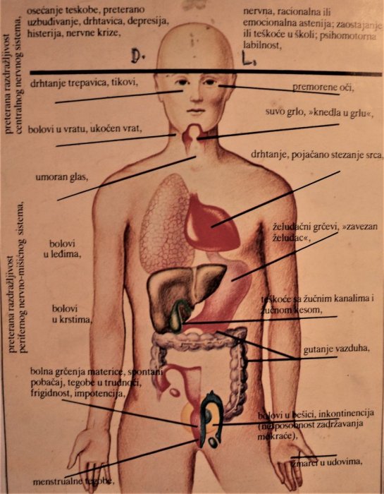 MINERALI I VITAMINI - RASPOLOŽENJE, EMOCIJE I OSJEĆAJI