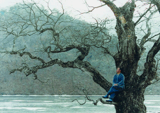 Čovjek na stablu /zen priča/