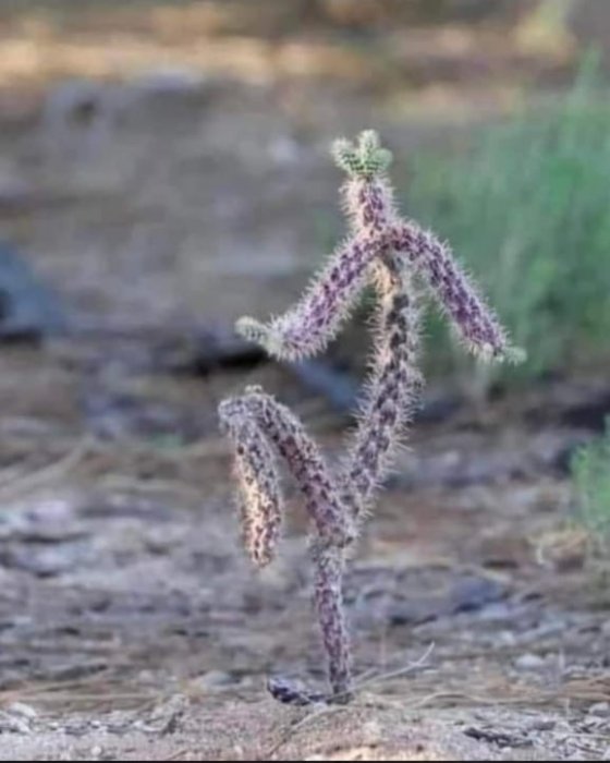 I kada ne ostvariš planove, nešto naučiš