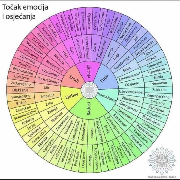 Kad bismo se potpuno prepustili emocijama