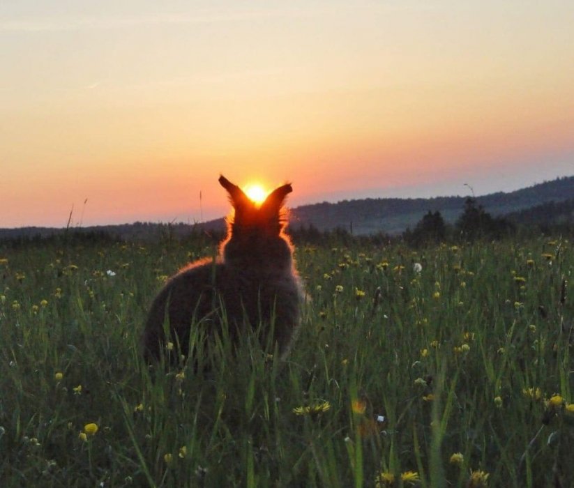 Indijanska priča o strahu