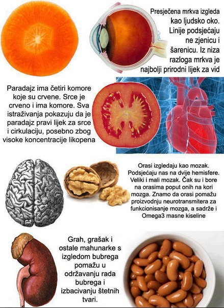 Hrana i Organi - slika govori sama za sebe,..