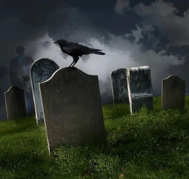 Najveća praznovjerja u Hrvata: Ako vrane grakću, slijedi smrt