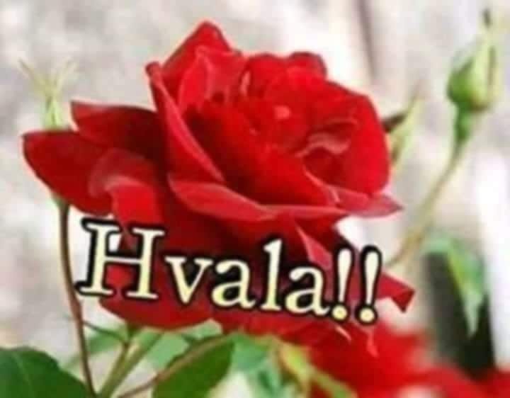 MOJA ZAHVALA