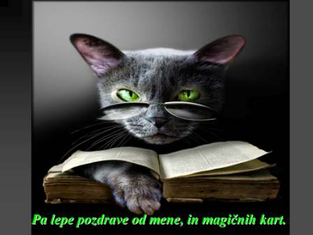 Muca i magične karte