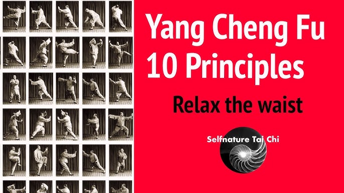 YANG SHENGFU - 10 PRINCIPA TAIJIQUANA