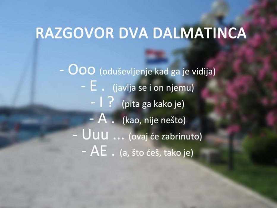 DALMATINSKO SLOVO