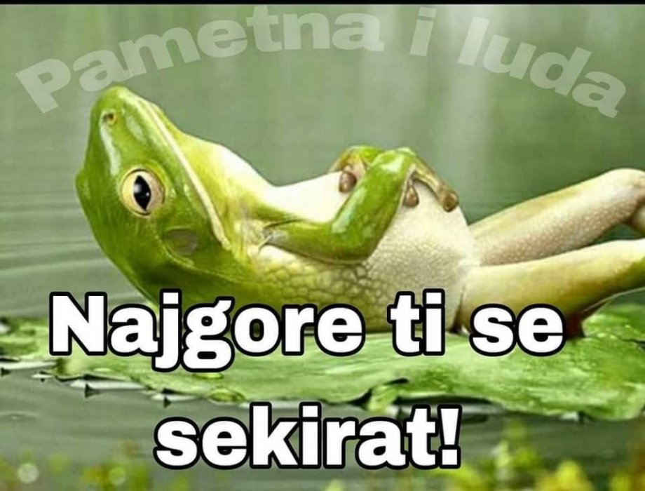 PRAVI GERILAC!