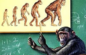 EVOLUCIJA....