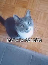 gotta anegdota