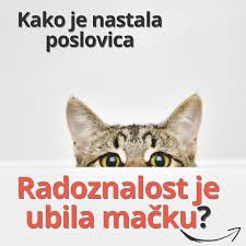 Znatiželja ubija... mačku