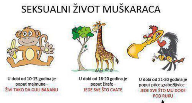 Seksualni život muškaraca
