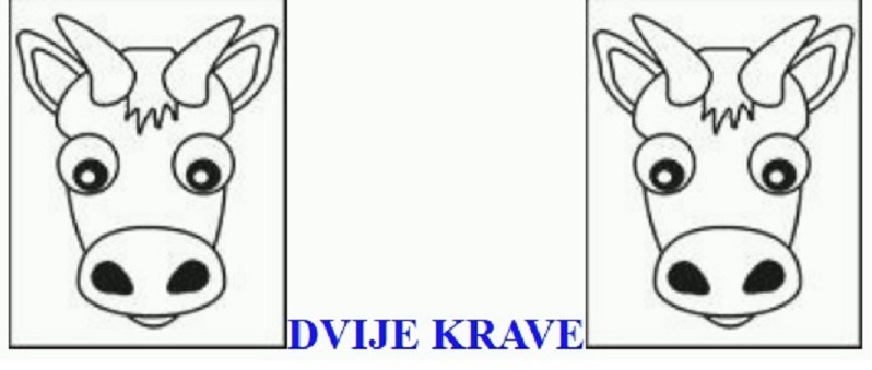 DVIJE KRAVE
