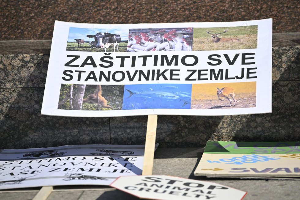 ...nasilje nad životinjama..