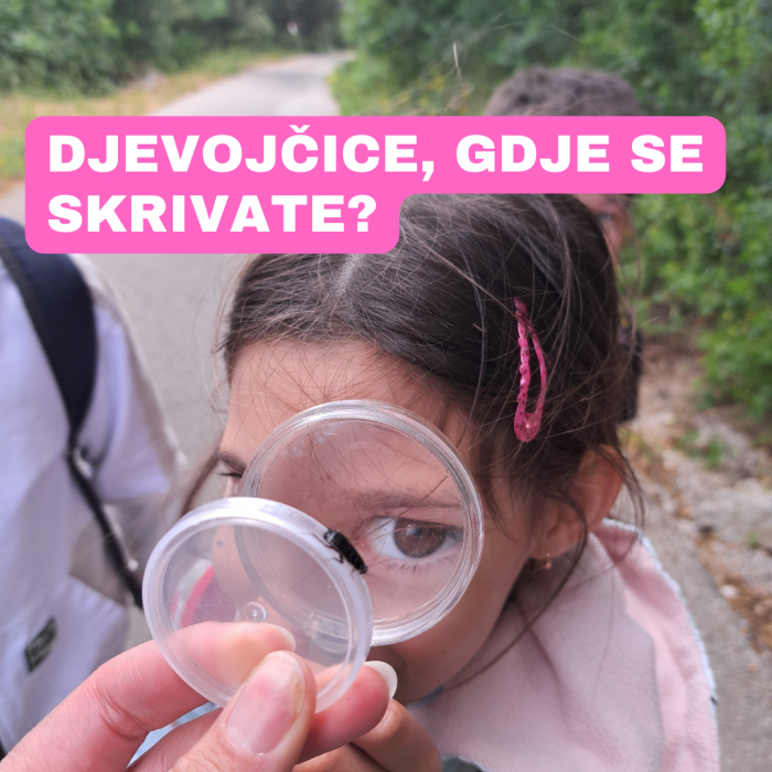 VIJESTI IZ UDRUGE BIOTEKA - prijave za mlade hrvatske STEM talente! 