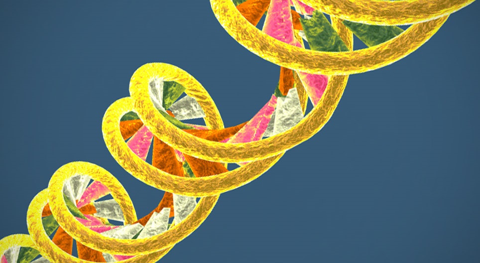 Restruktuiranje vaše RNA/DNA je samo mali dio ovog procesa