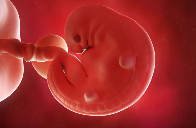 Stvorili stotine hibrida između ljudi i životinja