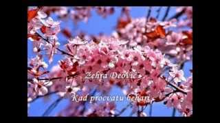 Kad procvatu behari....