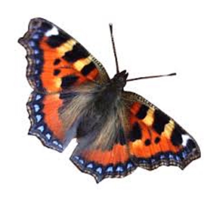 POTPIŠIMO POVELJU SLOBODNOG SVIJETA