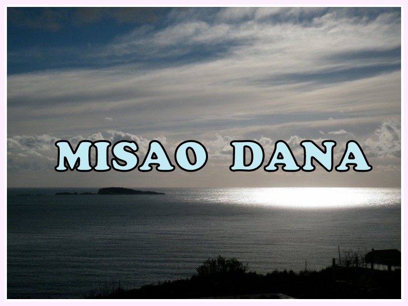 MISAO DANA