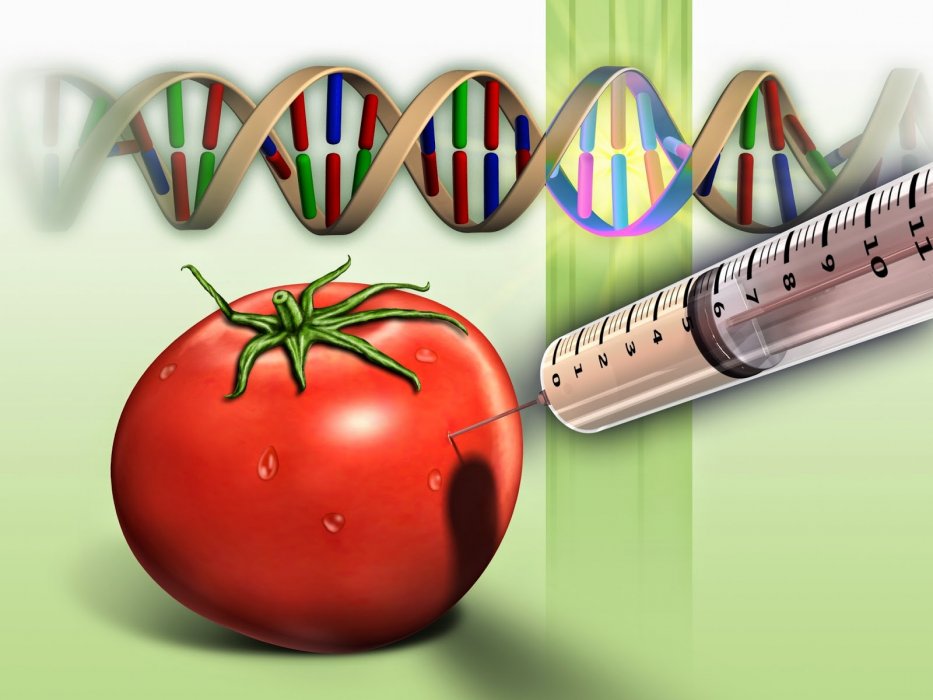ČEKAJUĆI FRANKENSTEINA (misteriozna bolest morgeloni i gmo ishrana)
