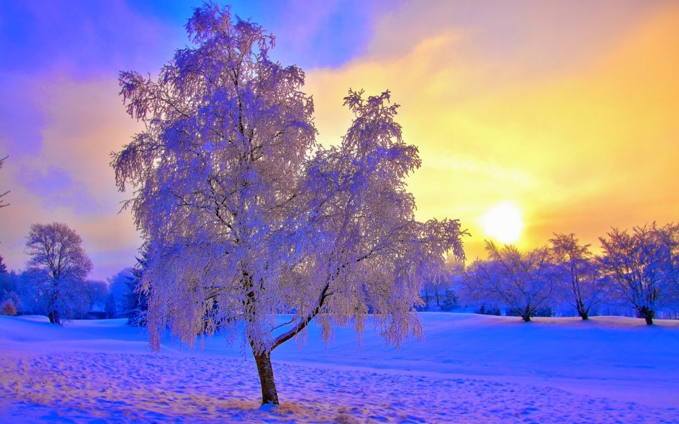 SUNCE
