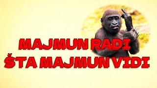 ŠTO MAJMUN VIDI, TO MAJMUN RADI...