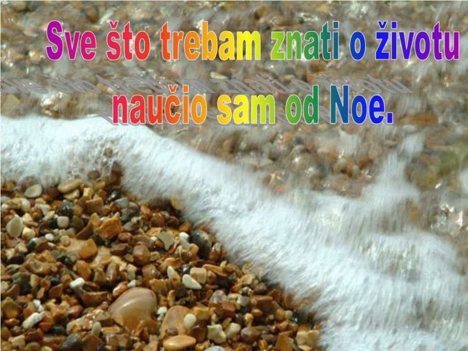 SVE ŠTO TREBAM ZNATI NAUČIO ME NOA