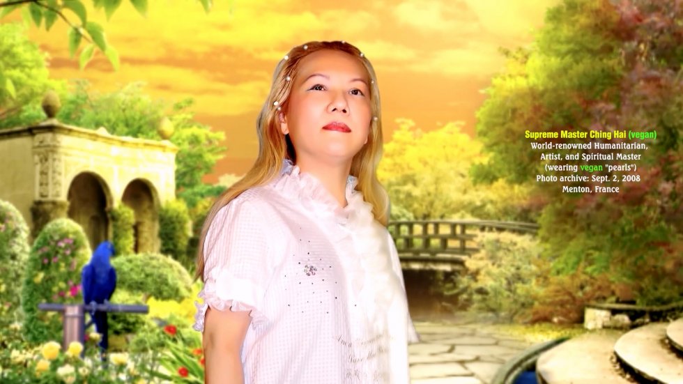 ZA SVE JE POTREBNA PAŽNJA