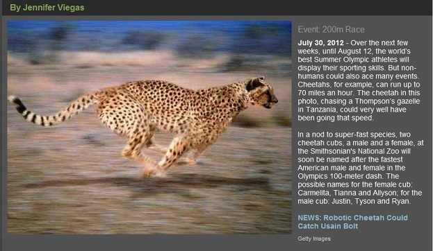 Animal Olympians: Photos