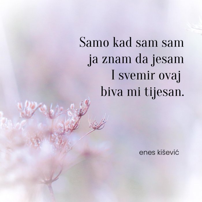 ZRNCA IZ KALEDIOSKOPA ENESA KIŠEVIĆA
