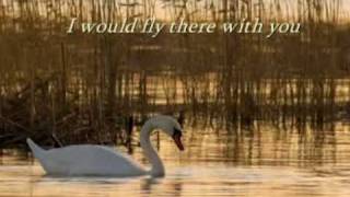 Secret Garden - Swan