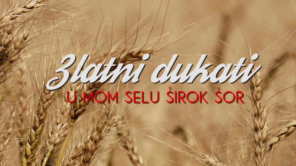 Širok šor; Hej, salaši - Zlatni dukati
