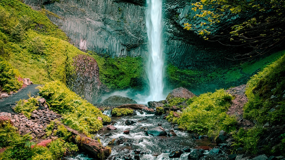 Slap i još malo- Dobriša Cesarić