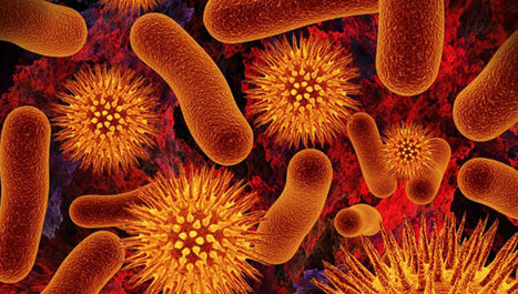 'Promiče se strah od svinjske gripe zbog stvaranja profita'