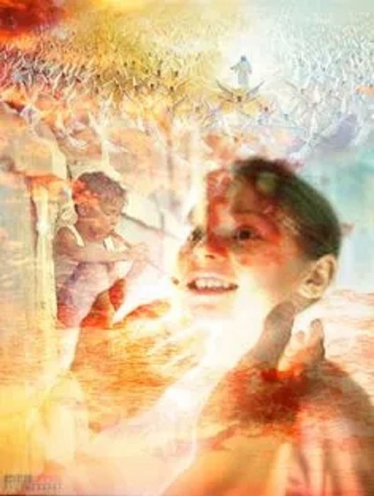 Transplantacija ... III dio