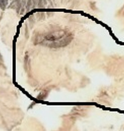 Bunar duša