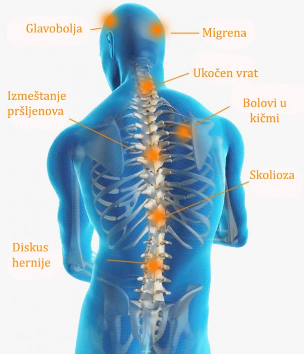 LISTIĆI ZA DOBRO ZDRAVLJE  (6.)
