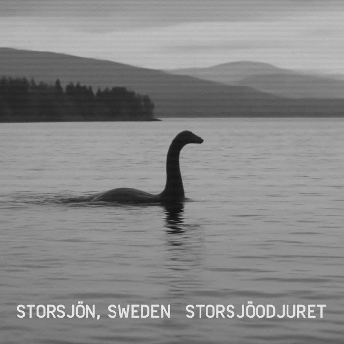 Snimio Nessie pomoću Google Eartha?