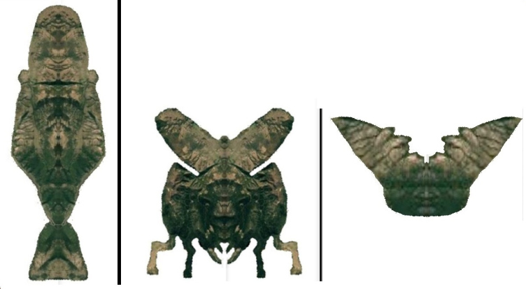 Faraon, pčela i ljudska duša u Udbini