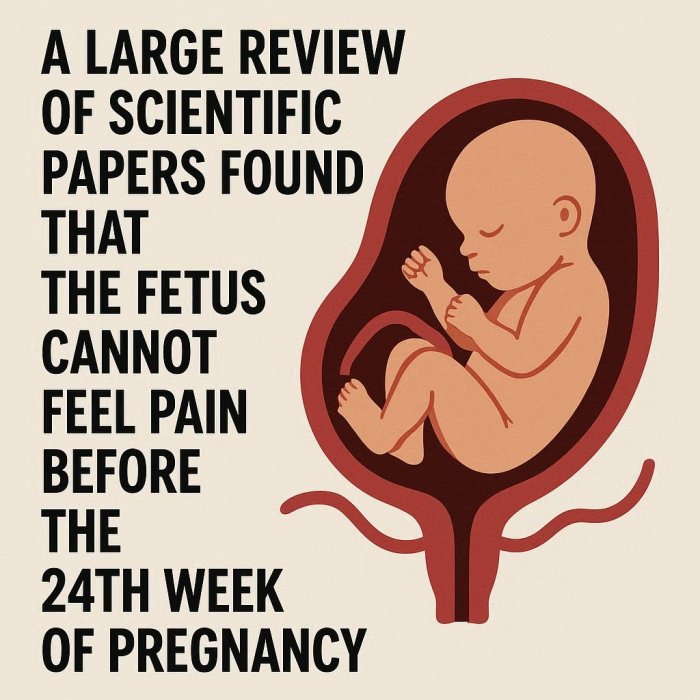 Od kad fetus osjeća bol?
