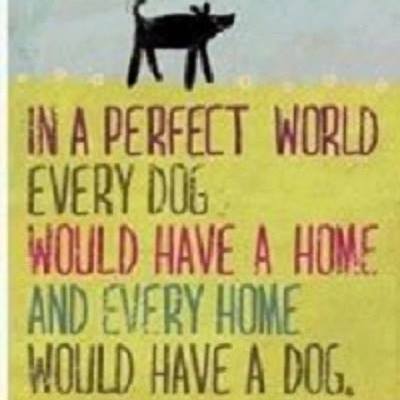 FUTURA - udruga za pomoć i udomljavanje životinja