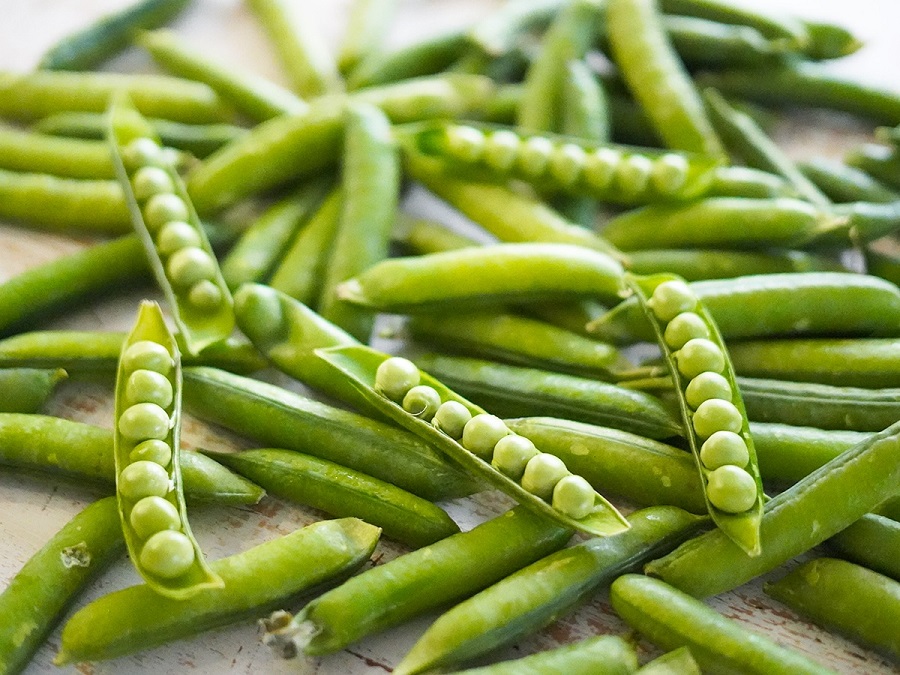 PORUKA ZA 22. VELJAČE - Ne želim da svi budete slični