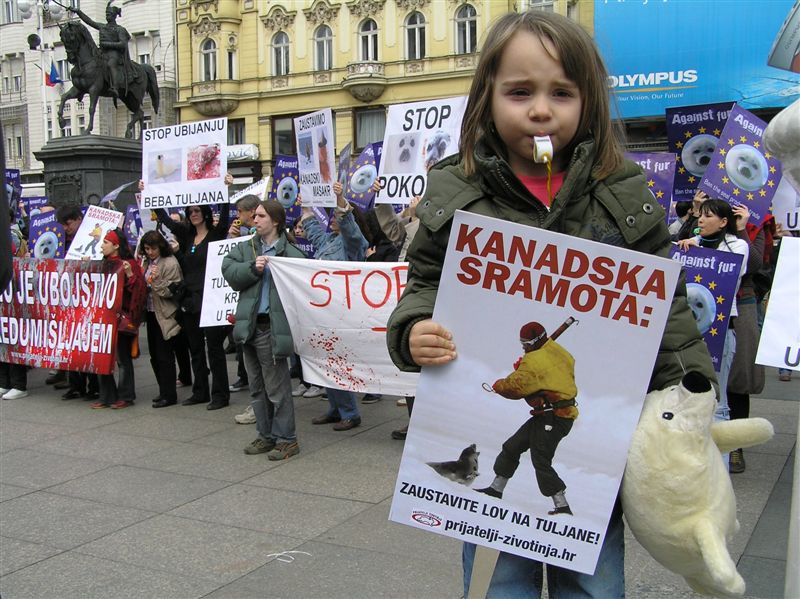 Poziv u Bruxelles na Međunarodni prosvjed za zabranu tuljanovog krzna u EU