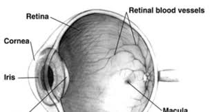 Laser pomaže protiv slijepoće