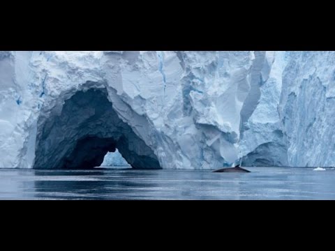 Misterija Antarktika ŠOKANTNO