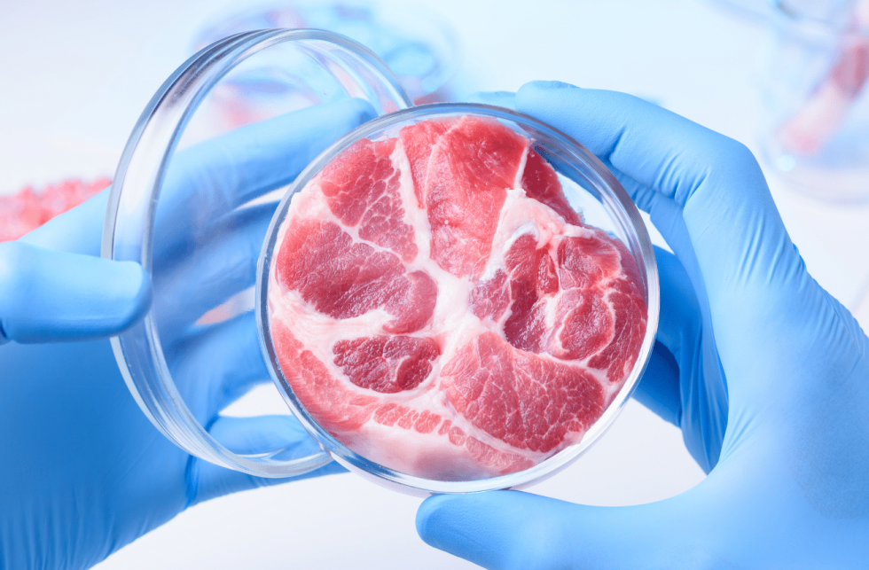 Uskoro umjetno meso na tanjuru