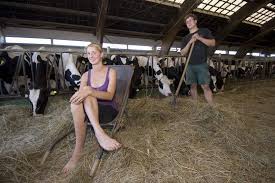 Par iz Švicarske životni san ostvario u Međimurju