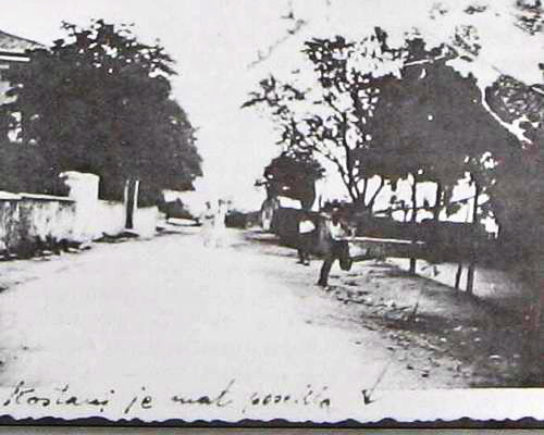 Pehlin/Pletenci/Hosti