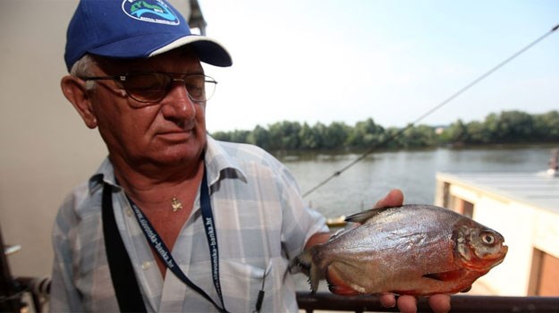 Ribič u Dravi ulovio piranju, tvrdi da ih ima još!